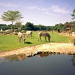 petra friedrich zoo leipzig todesursache