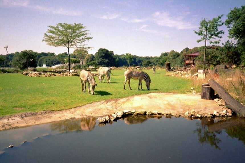 petra friedrich zoo leipzig todesursache